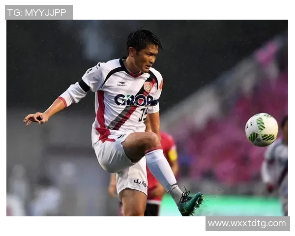 冈山绿雉与金泽塞维历史交锋战绩分析及未来展望