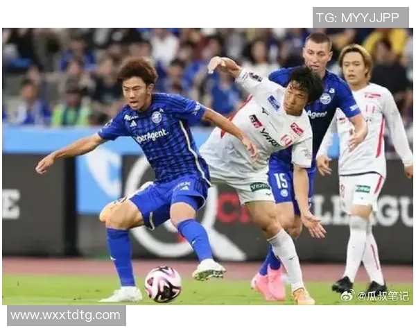 赞岐釜玉与町田泽维历史交锋回顾及未来展望分析